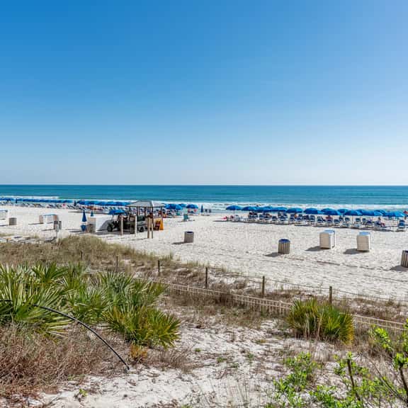 Sandy Feet Retreat Ocean View Condo at Calypso w/ Balcony, Beach Access, Pool, Sleeps 6 | Access Local Activity Offers Daily - Image 1
